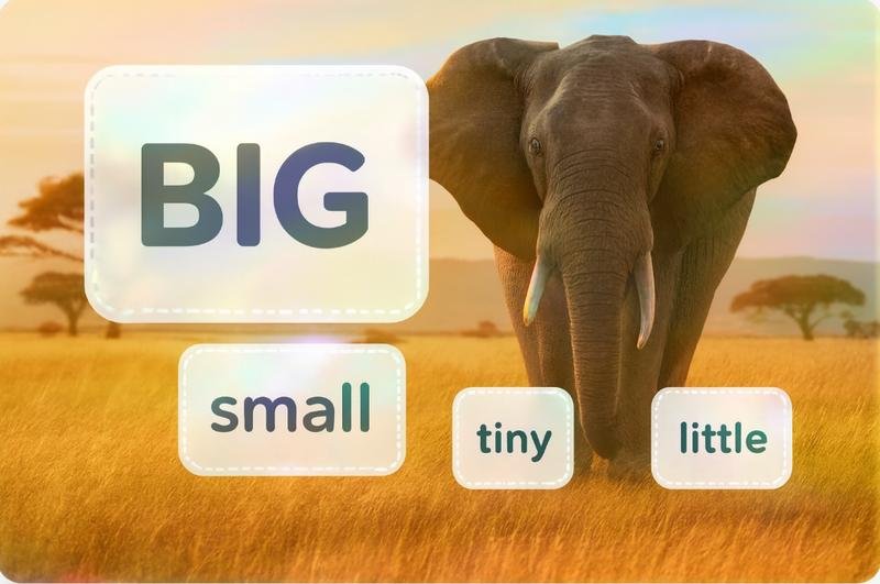 Big and Small Words