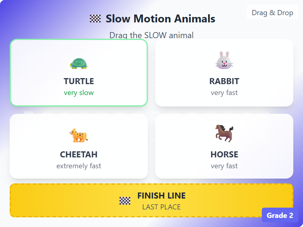 Slow Motion Animals