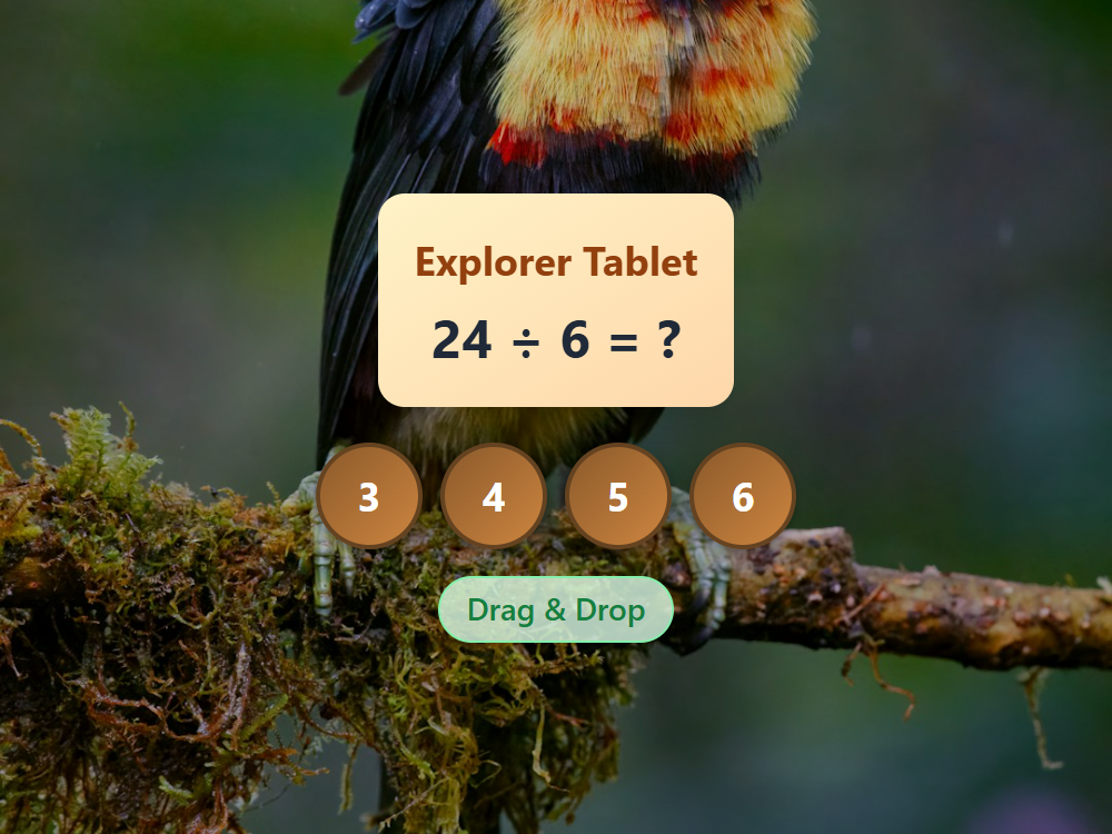 Jungle Division Twenty Four