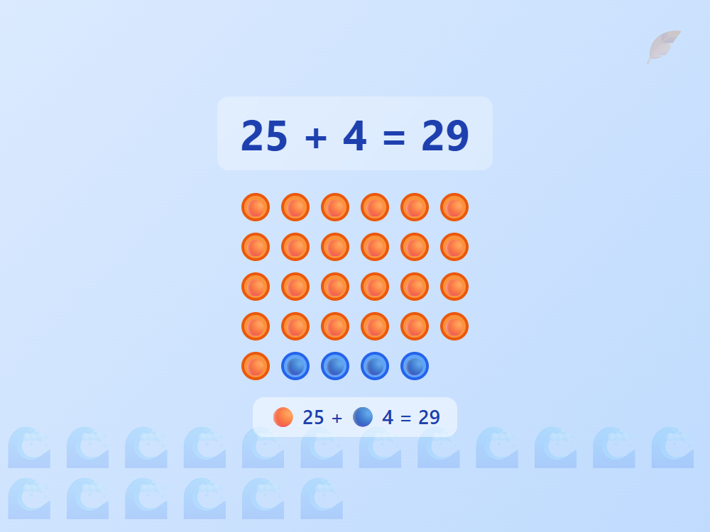 Beach Shell Collection