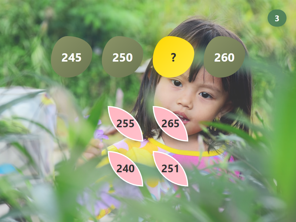 Garden Number Patterns